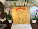 JERICHO JONES: junkies monkeys & donkeys AMLH 6850 A&M records RARE VG+ Beauty