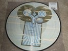 THE CHAMELEONS - WHAT DOES ANYTHING MEAN? BASICALLY - PICTURE DISC - NEW