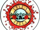 EX Guns N Roses November Rain Sweet Child O' Mine Patience 12 VINYL PICTURE DISC