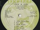 RARE ROOTS REGAGE DUB LP KEITH HUDSON 