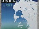 Asha JJ Tribute 12” Remix Ex Ex Italo House
