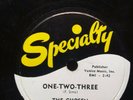 The Chosen Gospel Singers Before This Time Another Year/One-Two-Three 78