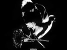 SHOOT FOR THE STARS, AIM FOR THE MOON [2/5] * NEW VINYL