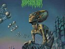 Blood Incantation ?- Hidden History of the Human Race LP - Colored Vinyl Record