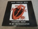 DEEP FREEZE MICE - Teenage Head In My Refrigerator -  1st + Inserts EX