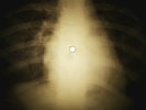 Doors - We Could Be So Good Together X-RAY OF THE USSR X-RAY BONE RECORD