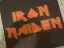 Iron Maiden Hidden for a Long time Multi Coloured Vinyl