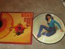 KATE BUSH - THE KICK INSIDE - RARE PICTURE DISC - LP RECORD