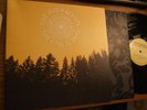 THE DECEMBERISTS THE KING IS DEAD WITH INNER SLEEVE MINT- LP