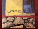 James -  Laid  7” Vinyl Single Record