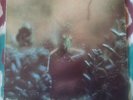 Steely Dan ?– Katy Lied