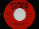 Crossover Soul 45 - Pendulum Swingers - Never Should Have Loved You Baby - mp3
