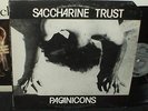 SACCHARINE TRUST Pagan Icons LP RARE 1st PRESS SST RECORDS 1981 POST PUNK