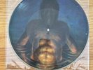 Tool, Cesaro Summability, 12” Vinyl, Aenema Third Eye Picture Disc, 1996, Rare