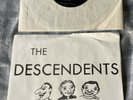 Descendents Ride The Wild Its A Hectic World 7” 1980 PINSICATO records Punk