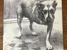 Alice in Chains Rare ORIGINAL 1995 Self Titled Tripod Vinyl LP
