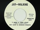 Northern Funk/Sweet Soul 45 - Ray Gant - I Need A True Love - Jay-Walking - VG+