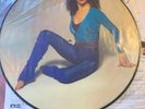 KATE BUSH - The Kick Inside - Rare 1st Press UK Picture Disc LP (Vinyl Record)