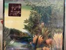 Fleetwood Mac: Tango In The Night 12” Vinyl