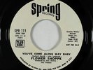 Northern Soul/Funk 45 - Flower Shoppe - You've Come Along Way Baby - Spring VG+
