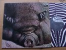 KIN PING MEH,No.2  m-/vg+ OIS /m(-) zebra records 2949005 Germany 1972 Erstdruck