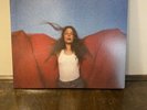 Maggie Rogers HEARD IT IN A PAST LIFE Debut Album 180g GATEFOLD Used Vinyl LP