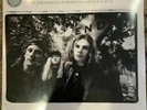 Smashing Pumpkins Greatest Hits vinyl 2LP LP import GREY cyr gish siamese dream