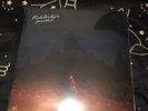 Phoebe Bridgers - Punisher Black Vinyl Record LP Sealed Stranger In The Alps
