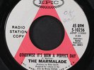 MARMALADE: i see the rain / otherwise it's been a perfect day EPIC 7
