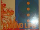 2013 Flaming Lips - Zaireeka - Awesome  Rare RSD 12