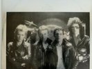 Vinyl 12