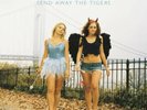 Manic Street Preachers - Send Away the Tigers 2xLP COLLECTORS EDITION VINYL