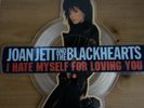 Joan Jett & The Blackhearts - I Hate Myself For Loving You (Vinyl Picture Disc)