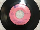 The Leather Pages: ?? Accept Me For What I Am RARE GARAGE PSYCH ROCK POP 45