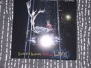 Panic  At The Disco - All My Friends We’re Glorious Live limited double LP vinyl