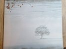 Genesis LP Wind And Wuthering UK Charisma 1st Press A//2 B//3 INCREDIBLE COPY ++