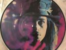 Fields Of The Nephilim Beyond The Walls Of Sleep Picture Disc LP