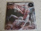Cannibal Corpse  Tomb Of The Mutilated  mit Poster