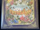 Panic at the Disco - Welcome to the Sound of Pretty Off Vinyl LP