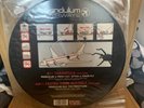 Pendulum 'Tarantula / Fasten Your Seatbelt' Orig 2005 Picture Disc 12