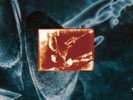 DIRE STRAITS On Every Street Vinyl NEW & SEALED