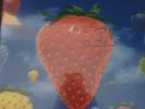 Lightning seeds jollification 25th anniversary signed album & strawberry scented