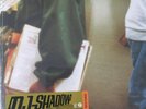 DJ SHADOW Entroducing 2019 HMV Exclusive Blue 2LP Vinyl (New & Sealed)