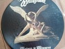 Whitesnake Picture Disc LP Saints & Sinners UK Sunburst 1st Press BEAUTIFUL ++
