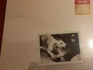 Fleetwood mac Tusk Vinyl boxset
