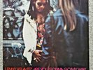 Lenny Kravitz “Are You Gonna Go My Way” Original 1993 EU/UK Vinyl LP