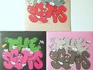 KAWS TRAVIS SCOTT KID CUDI 12