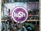LP LUSH Lovelife clear vinyl 1996 shoegaze Indie Rock Brit Pop