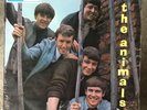 THE ANIMALS DEBUT UK 1ST PRESS 1N/1N MONO COLUMBIA Blue/Black1964 VG 33SX 1669