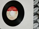 The Haunted, 1-2-5, Rare 1966 garage rock 45, Quality, Canada